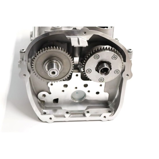 Cylinder Head with Valves, Springs & Camshafts for Seat 1.8 & 2.0 TSi / TFSI